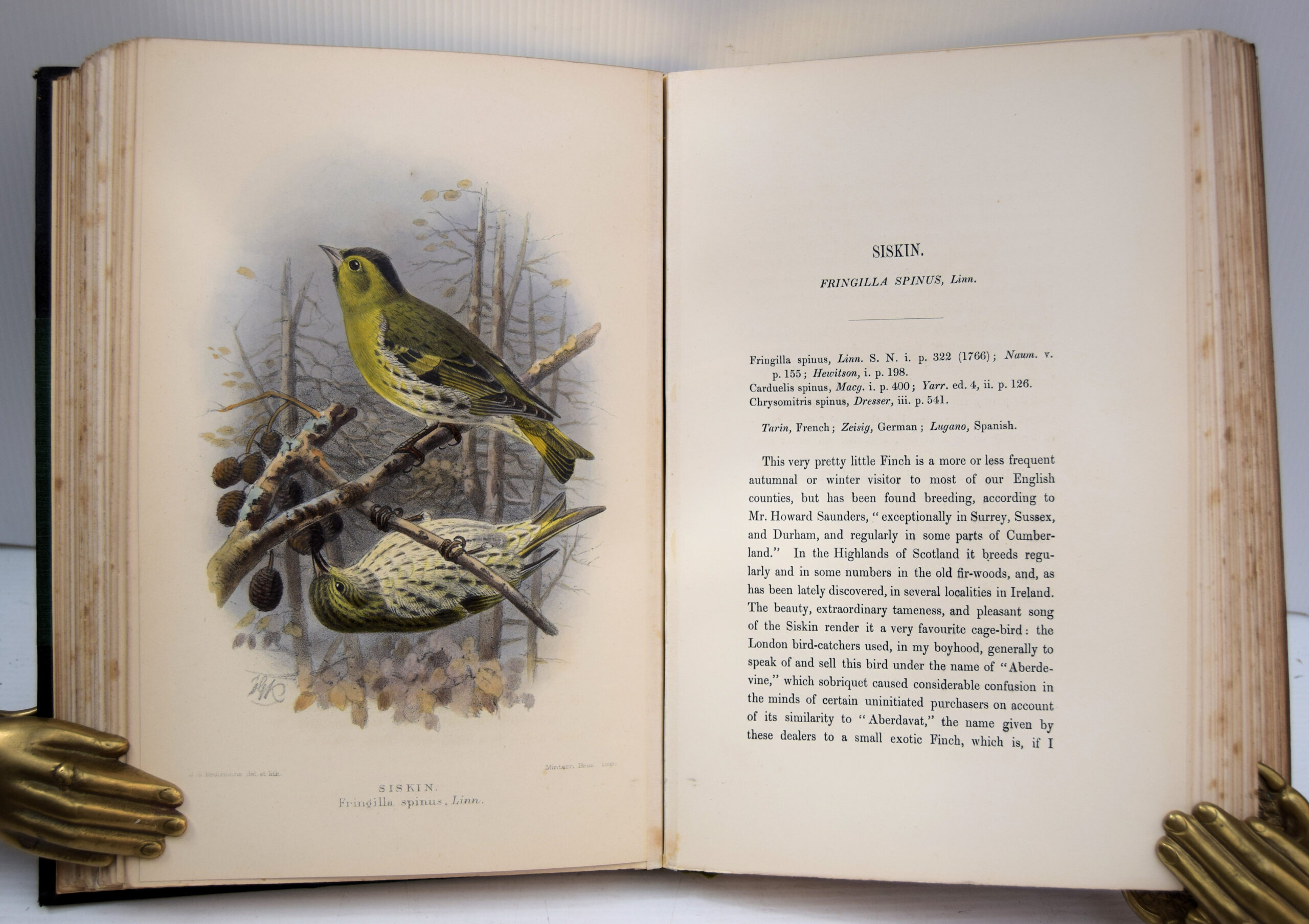 Coloured figures of the birds of the British Islands - Image 13