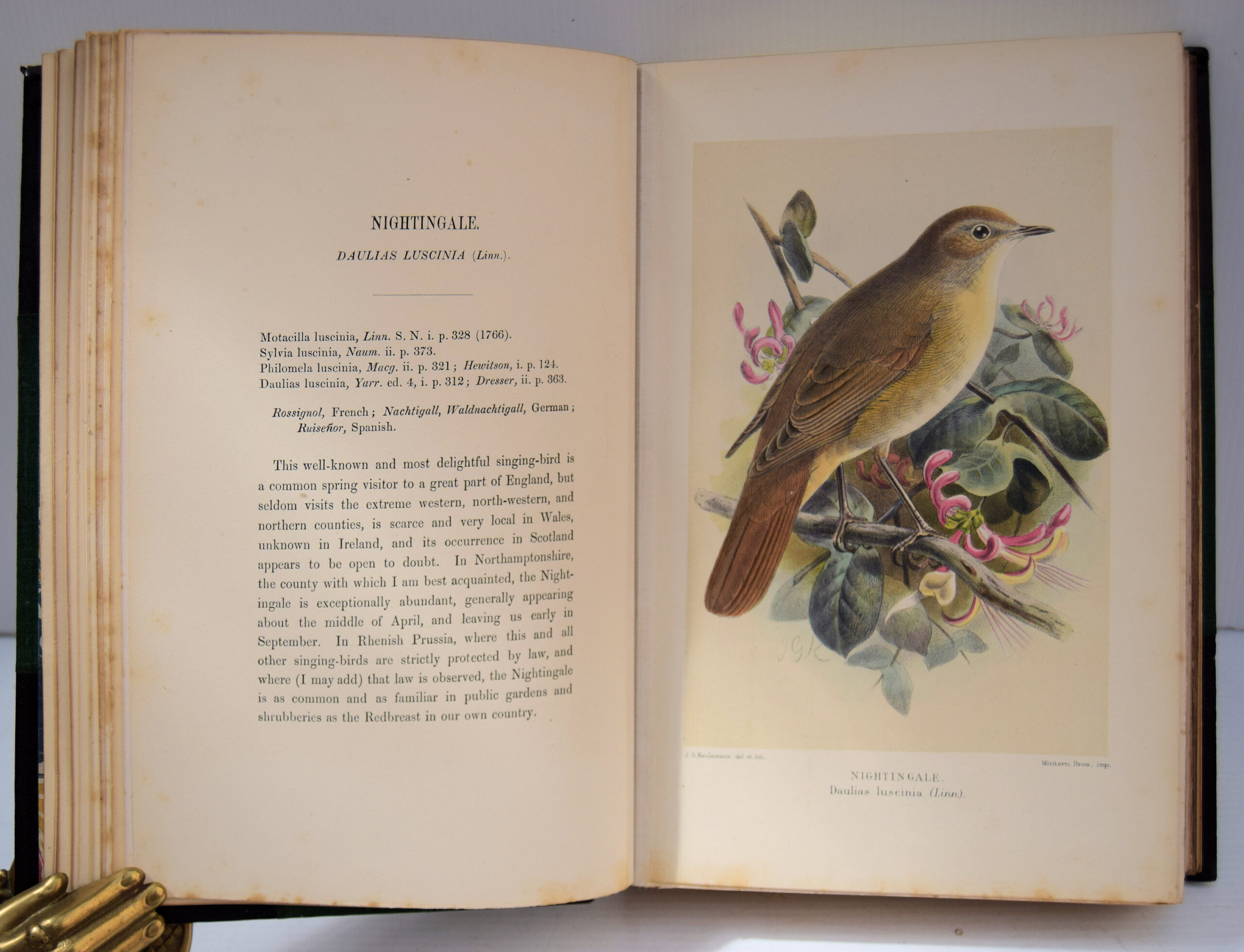 Coloured figures of the birds of the British Islands - Image 9